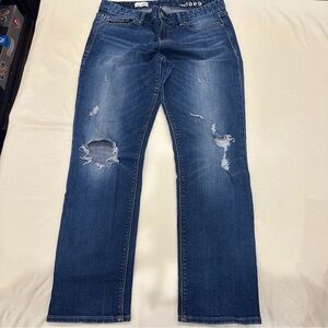 GAP 1969 Distressed Straight Jeans Sz 29S